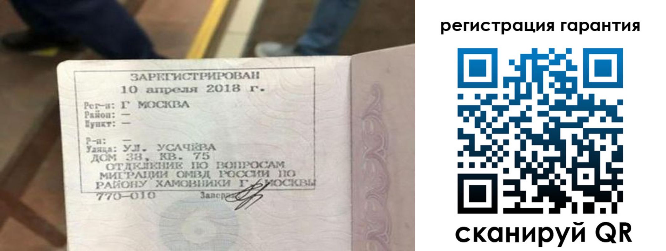 прописка поиск в Лузе